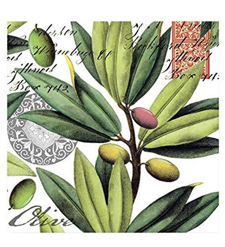 Michel Design Works 20-Count 3-Ply Paper Cocktail Napkins, Olive Grove