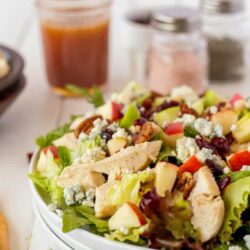 Copycat Wendy's Apple Chicken Salad hero.